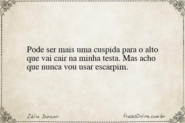 Frase de Zélia Duncan