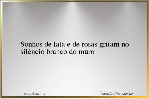 Frase de Zeca Baleiro