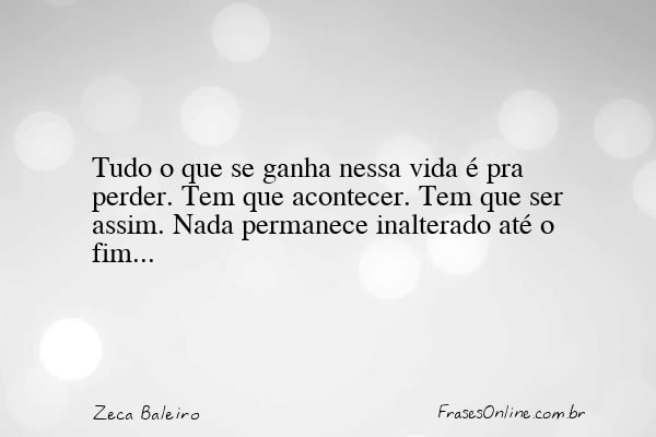 Frase de Zeca Baleiro