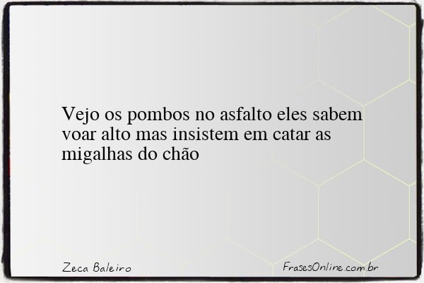 Frase de Zeca Baleiro